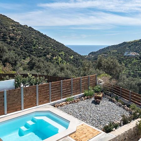 Villa Cosmakis Rodakino Extérieur photo
